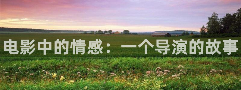 桔子電影網在線觀看：電影中的情感：一個導演的故事