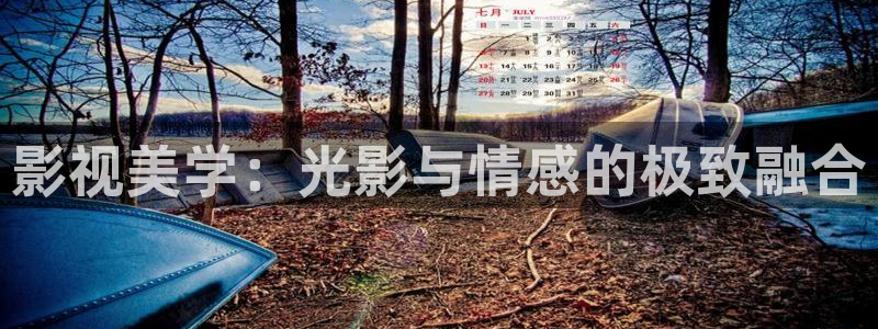 桔子在線免費視頻：影視美學：光影與情感的極致融合