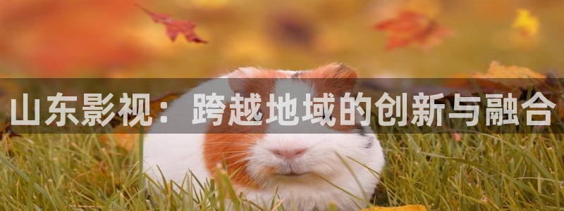 桔子視頻在線看：山東影視：跨越地域的創新與融合