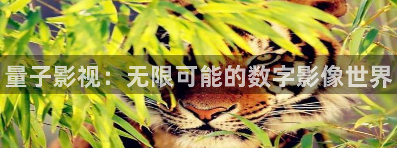 桔子桔子視頻：量子影視：無限可能的數(shù)字影像世界