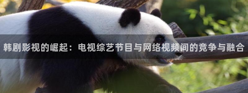桔子視頻電視劇在線觀看：韓劇影視的崛起：電視綜藝節目與網絡視頻間的競爭與融合